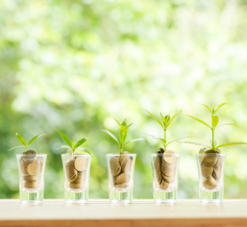 Coins in five glasses of glass with small trees set on wooden plates placed in the background of a green garden.